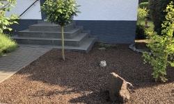 Gruselgarten 4
