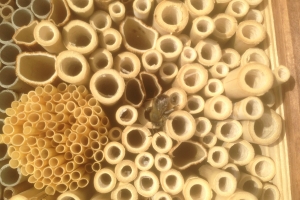 Wildbienennisthilfe